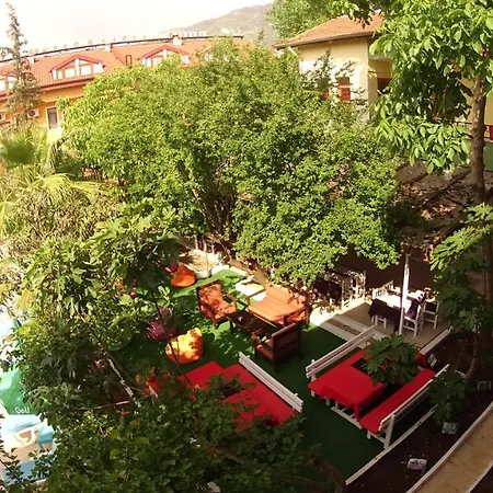 Bed & Breakfast New St. Nicholas Garden Oludeniz